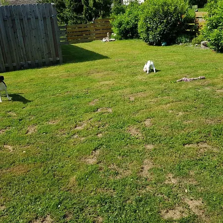 Jules Traum Im Schwarzwald *