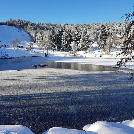Jules Traum Im Schwarzwald *