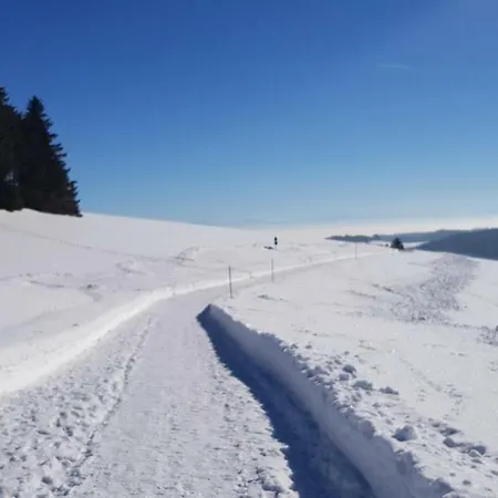 Jules Traum Im Schwarzwald Appartement