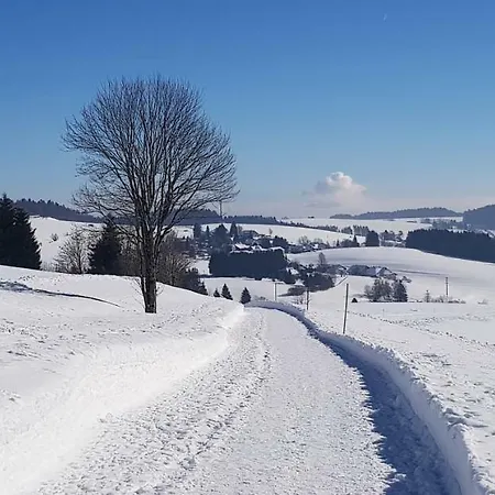 Jules Traum Im Schwarzwald